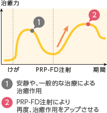 PRP-FD注射の作用イメージ